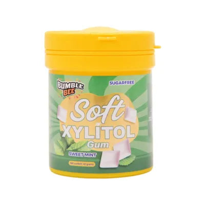 SOFT XYLITOL BUBBLE GUM 82GM SWEET MINT