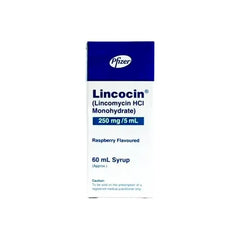 LINCOCIN SYP