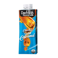 DAY FRESH FLAVOUR MILK 225ML CARAMEL 12S
