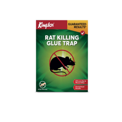 KINGTOX RAT KILLER GLUE TRAP
