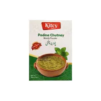 KITCY PODINA CHUTNEY 25GM