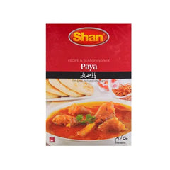 SHAN MASALA 50GM PAYA