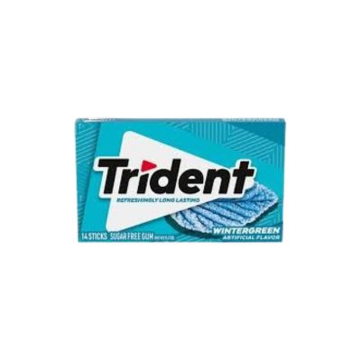 TRIDENT BUBBLE GUM WINTER GREEN