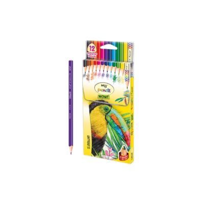 DOLLAR MY PENCIL FULL SIZE COLOUR 12S
