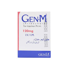 GENM INJ 120MG I.V/I.M