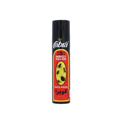 BON EXTREME INSECT KILLER 325ML