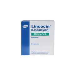LINCOCIN INJ 300MG IV/IM