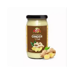 ITALIA PASTE 330GM GINGER