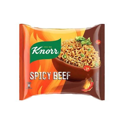 KNORR NOODLES 110GM SPICY BEEF