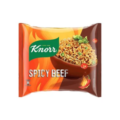 KNORR NOODLES 110GM SPICY BEEF