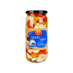BEST DAY GARLIC SALAD 480GM