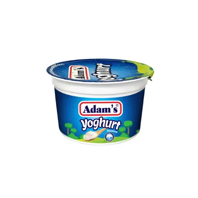 ADAMS YOGURT 200GM CUP