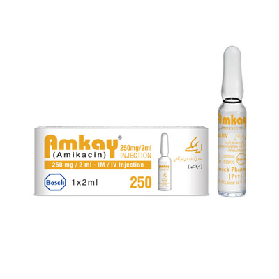 AMKAY INJ 250MG IV/IM