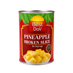 BEST DAY PINEAPPLE BROKEN SLICE 535GM TIN