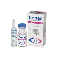 CEBAC INJ 2GM IV/IM