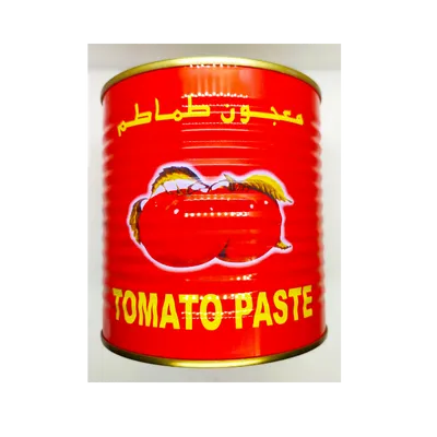 DEWDROP TOMATO PASTE 800GM