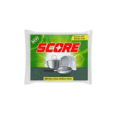 FAST ACTION SCOURER SPONGE REGULAR