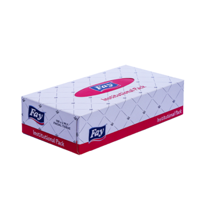 FAY TISSUE BOX INSTITUTIONAL PACK 100S