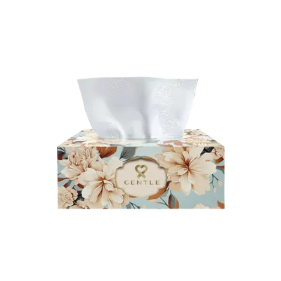 GENTLE TISSUE 320PCS BOX B10 GEMSTONE