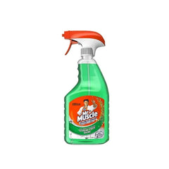 MR MUSCLE WINDOW GLASS CLEANER 750 ML TRIGGER ADVANCE POWER