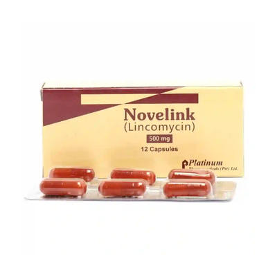 NOVELINK CAP 500MG