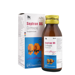 SEPTRAN SYP DS