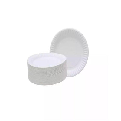 DISPOSABLE PLATES SMALL