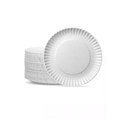 DISPOSABLE PLATES LARGE