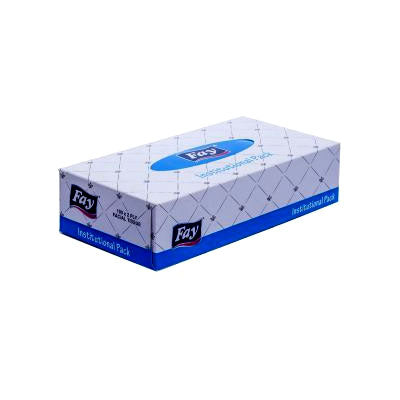 FAY TISSUE BOX INSTITUTIONAL PACK 100S